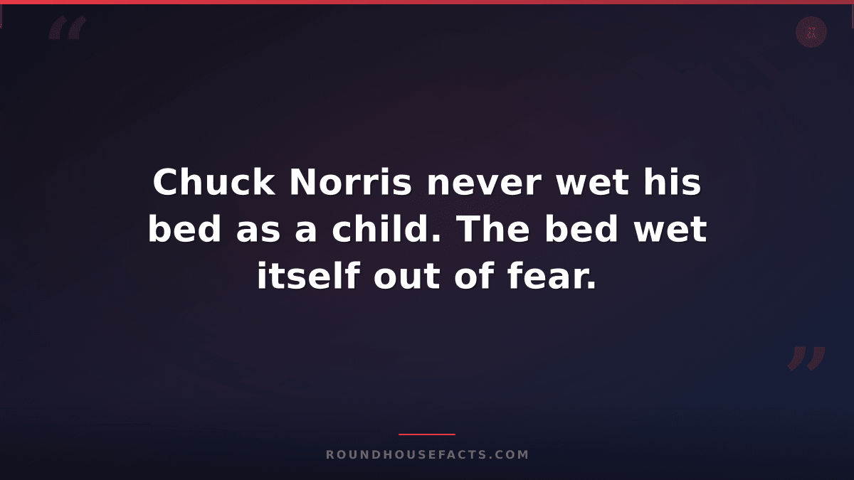 Chuck Norris Fact — Chuck Norris never wet his bed as a child. The bed wet itsel