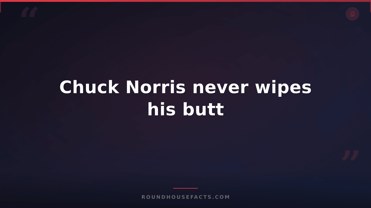 Chuck Norris Fact — Chuck Norris never wipes his butt