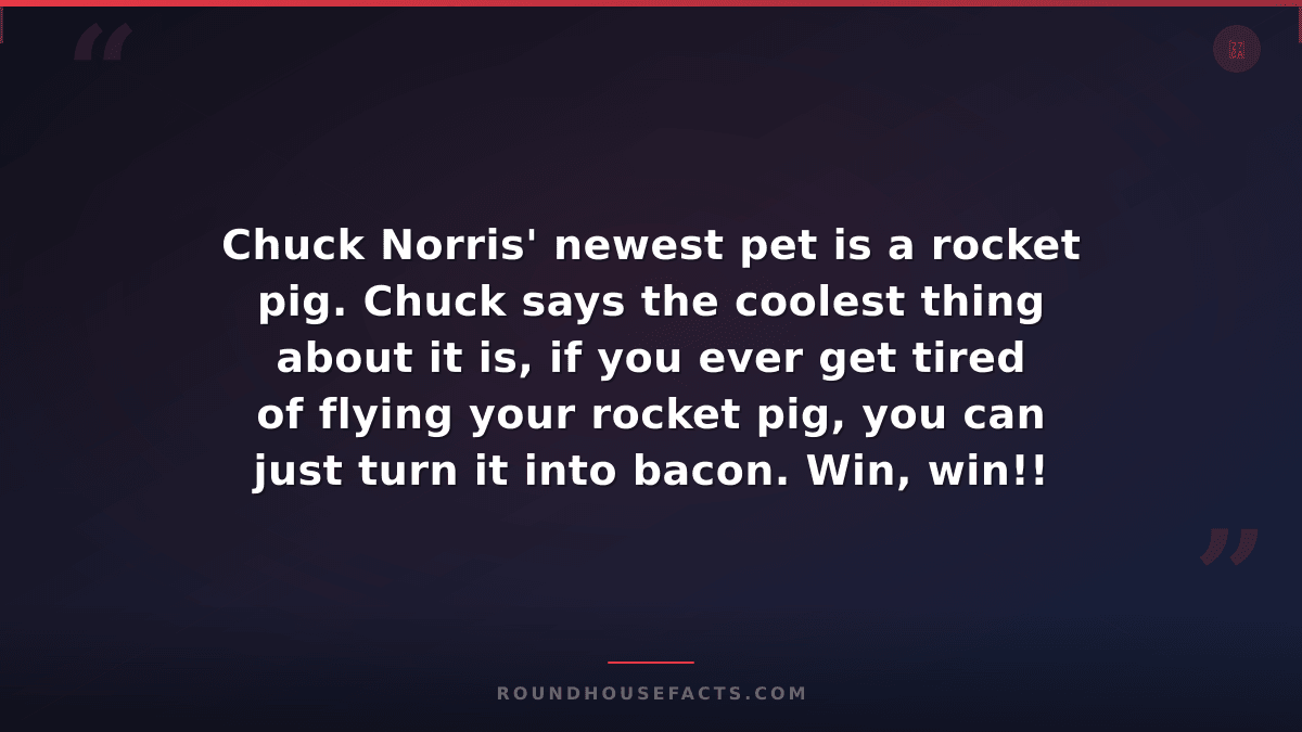 Chuck Norris Fact — Chuck Norris' newest pet is a rocket pig. Chuck says the coo