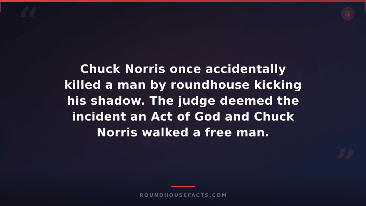 Chuck Norris Fact — Chuck Norris once accidentally killed a man by roundhouse ki