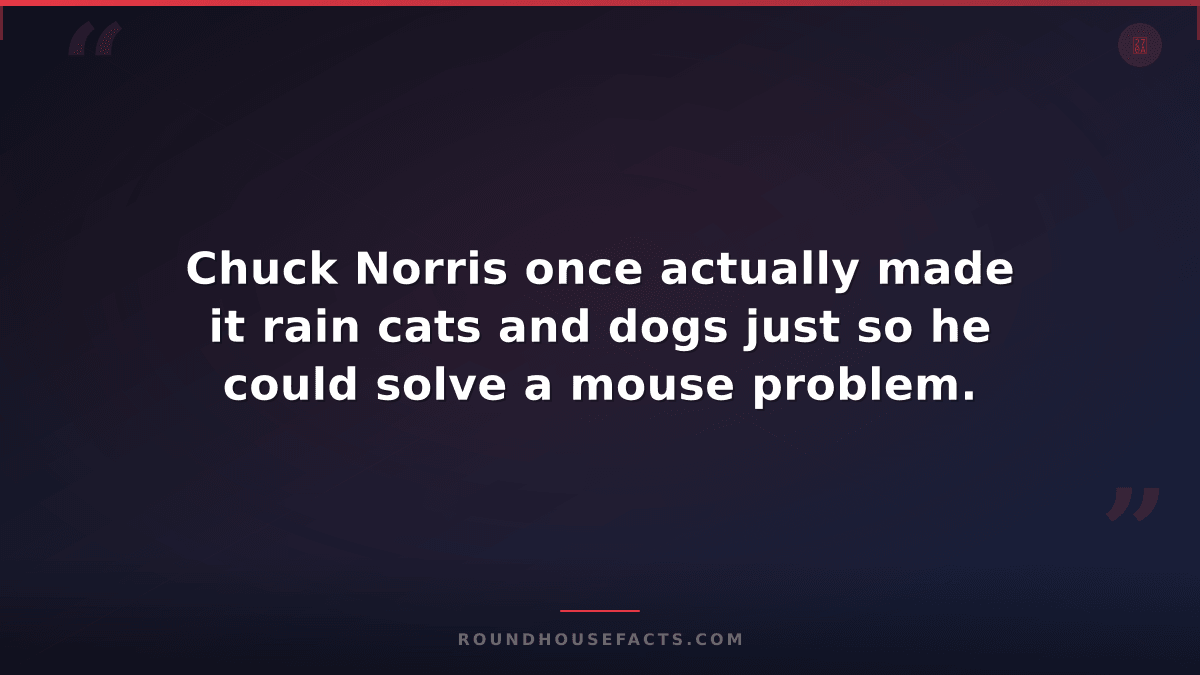 Chuck Norris Fact — Chuck Norris once actually made it rain cats and dogs just s
