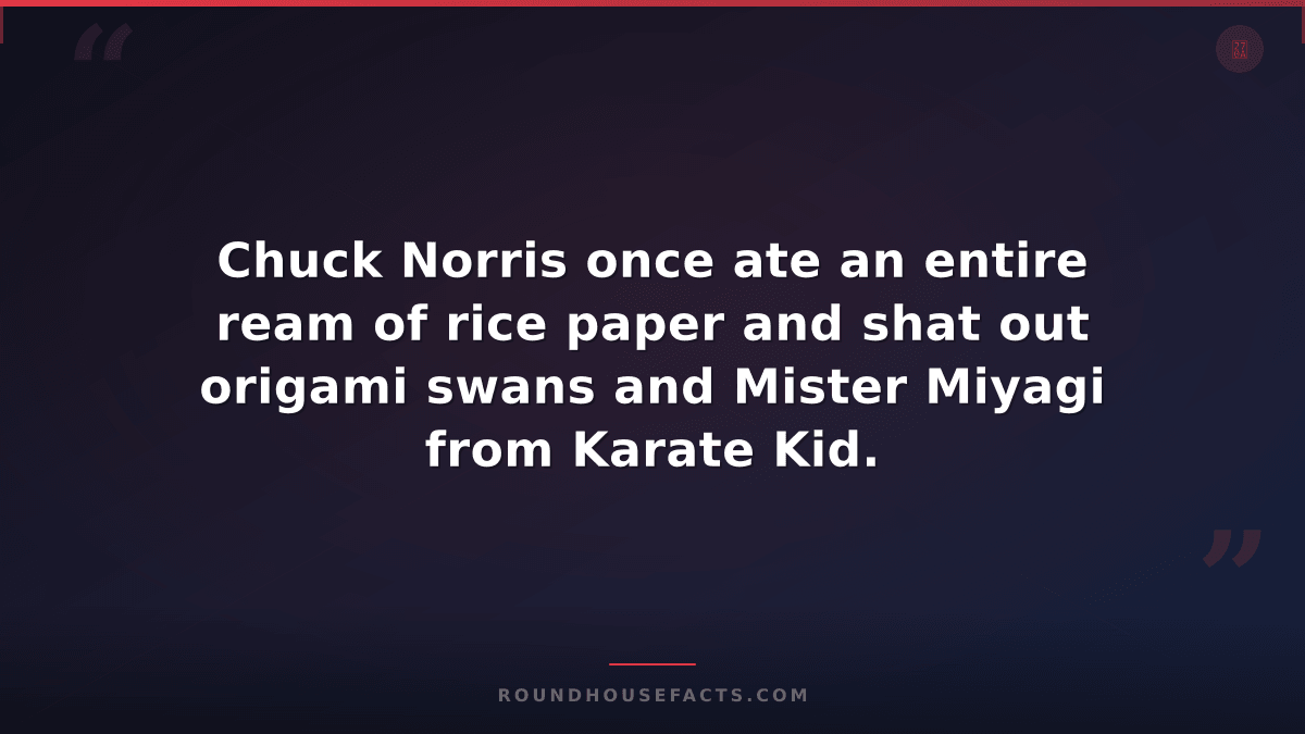 Chuck Norris Fact — Chuck Norris once ate an entire ream of rice paper and shat