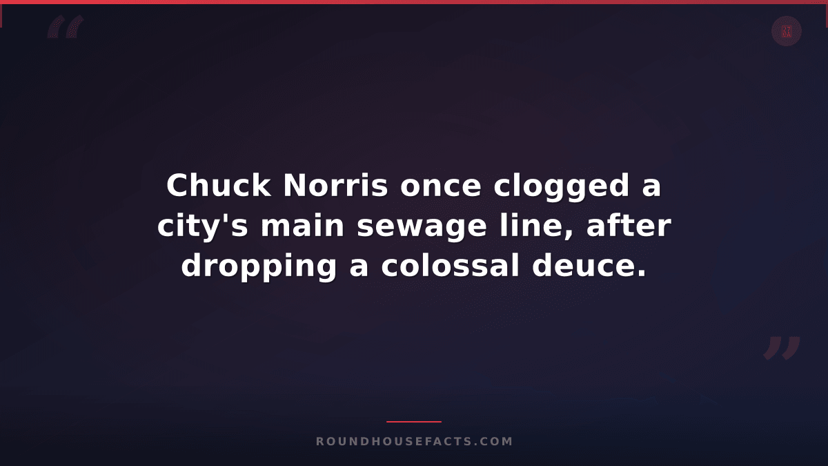 Chuck Norris Fact — Chuck Norris once clogged a city's main sewage line, after d