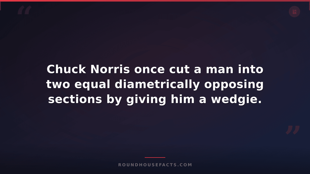 Chuck Norris Fact — Chuck Norris once cut a man into two equal diametrically opp
