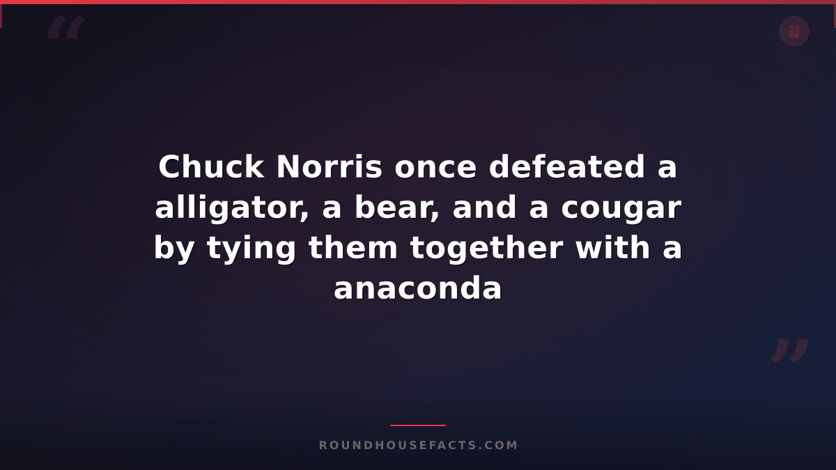 Chuck Norris Fact — Chuck Norris once defeated a alligator, a bear, and a cougar