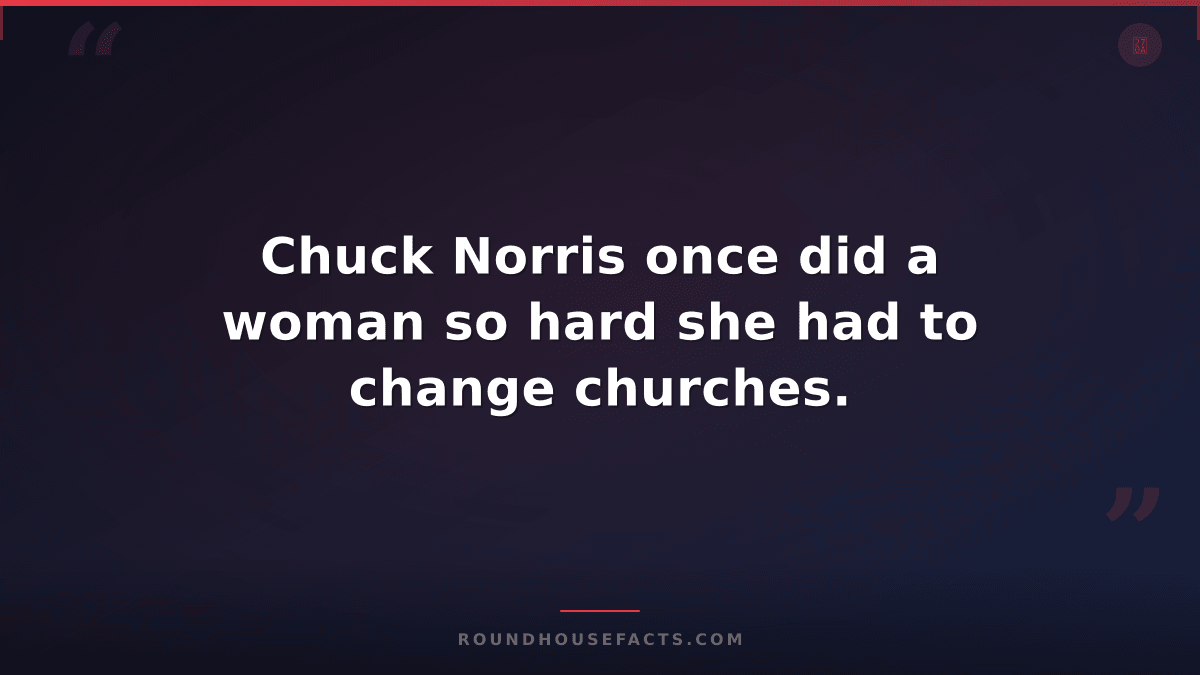 Chuck Norris Fact — Chuck Norris once did a woman so hard she had to change chur