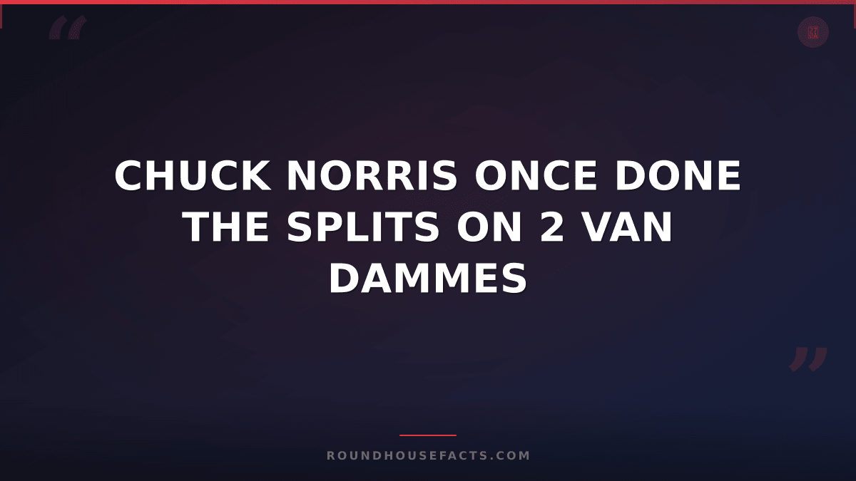 Chuck Norris Fact — CHUCK NORRIS ONCE DONE THE SPLITS ON 2 VAN DAMMES