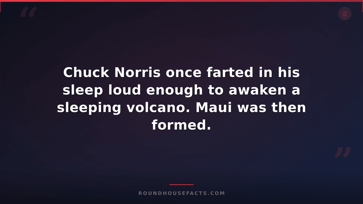 Chuck Norris Fact — Chuck Norris once farted in his sleep loud enough to awaken