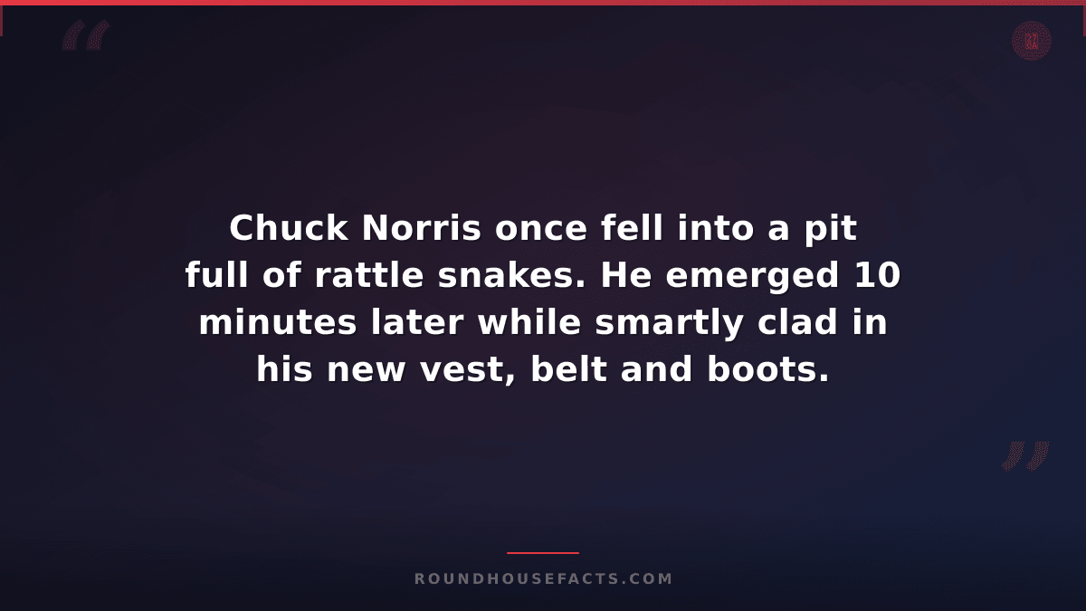 Chuck Norris Fact — Chuck Norris once fell into a pit full of rattle snakes. He