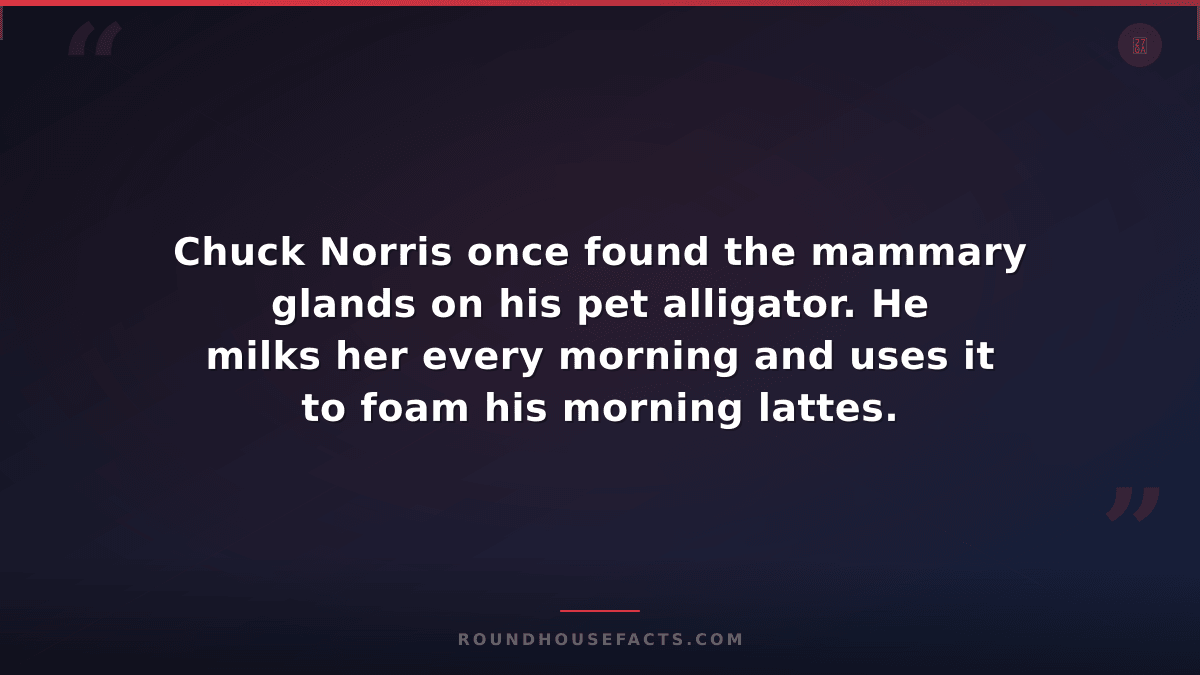 Chuck Norris Fact — Chuck Norris once found the mammary glands on his pet alliga