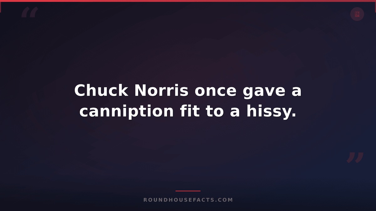 Chuck Norris Fact — Chuck Norris once gave a canniption fit to a hissy.