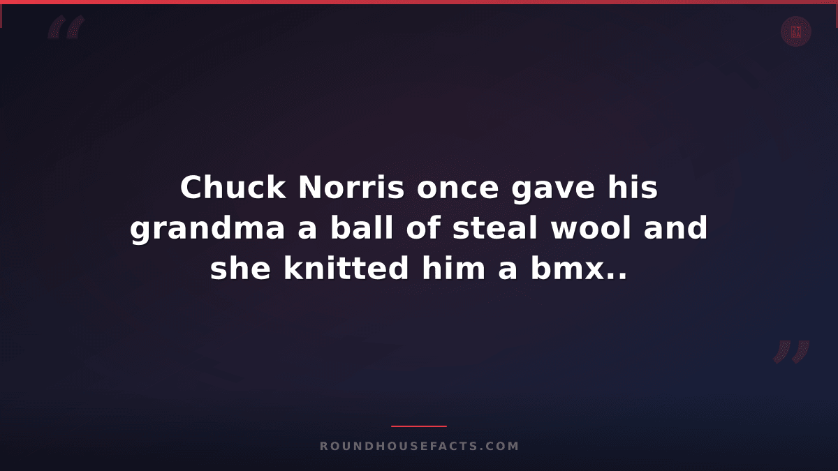 Chuck Norris Fact — Chuck Norris once gave his grandma a ball of steal wool and