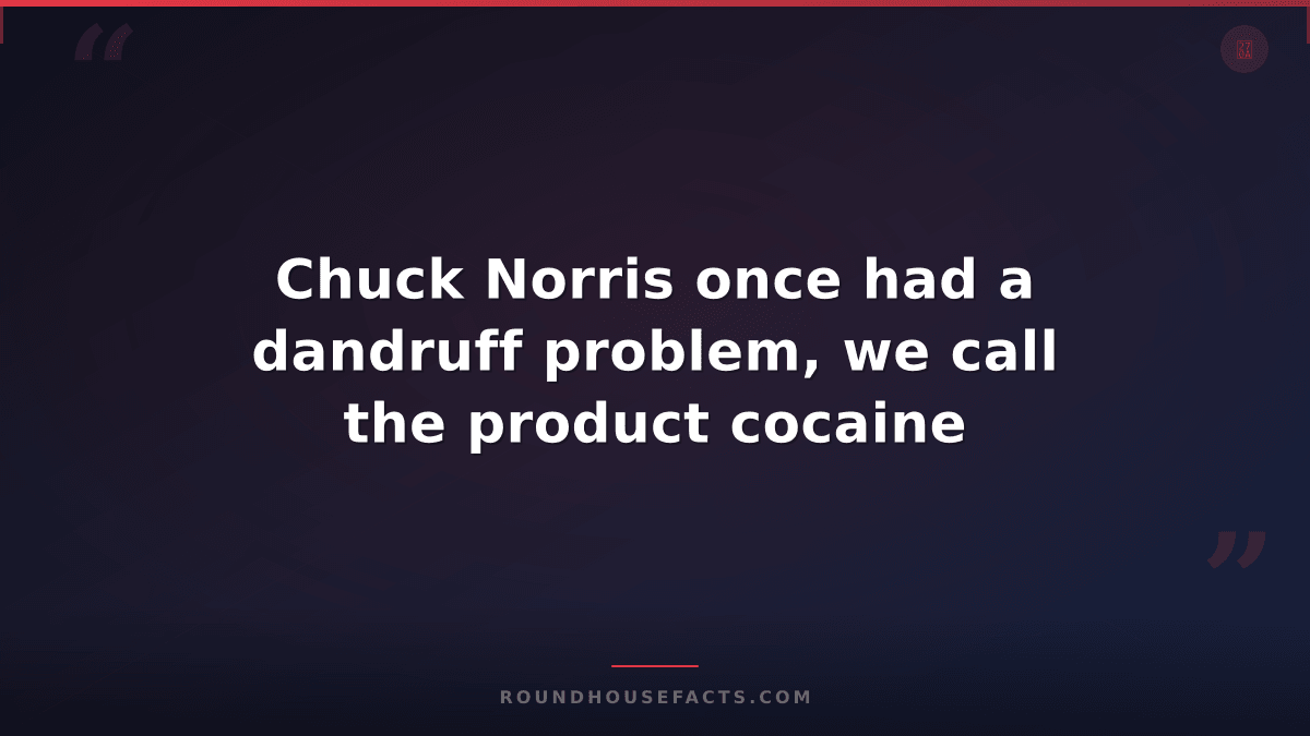 Chuck Norris Fact — Chuck Norris once had a dandruff problem, we call the produc