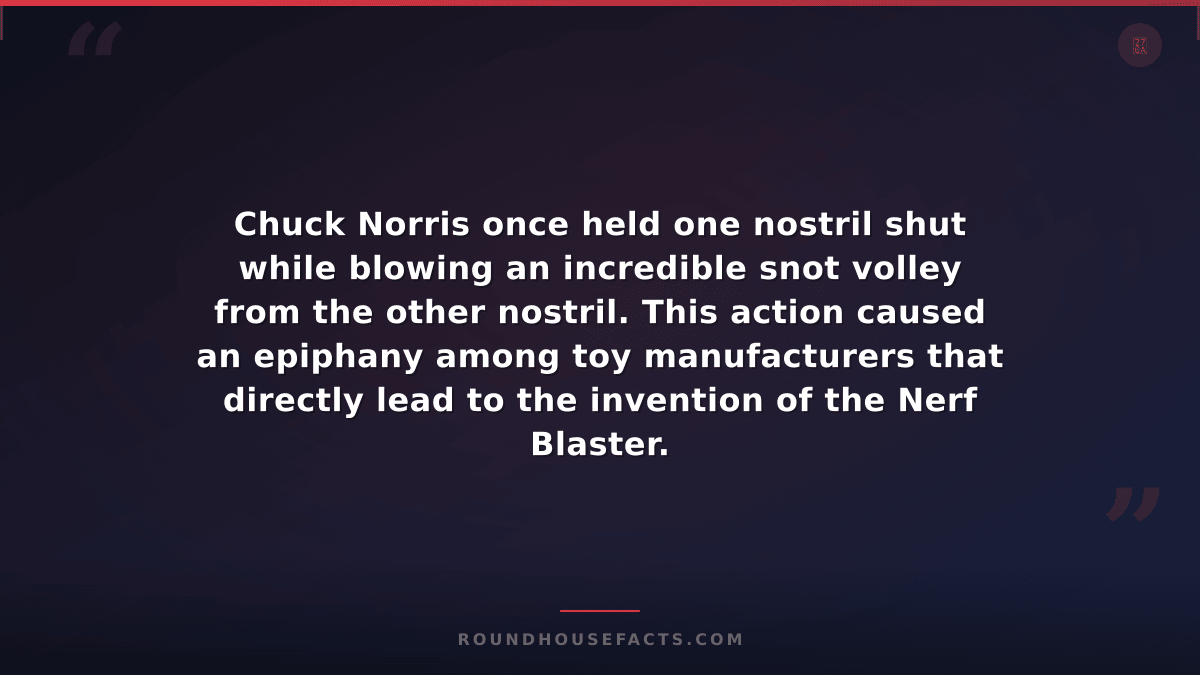 Chuck Norris Fact — Chuck Norris once held one nostril shut while blowing an inc