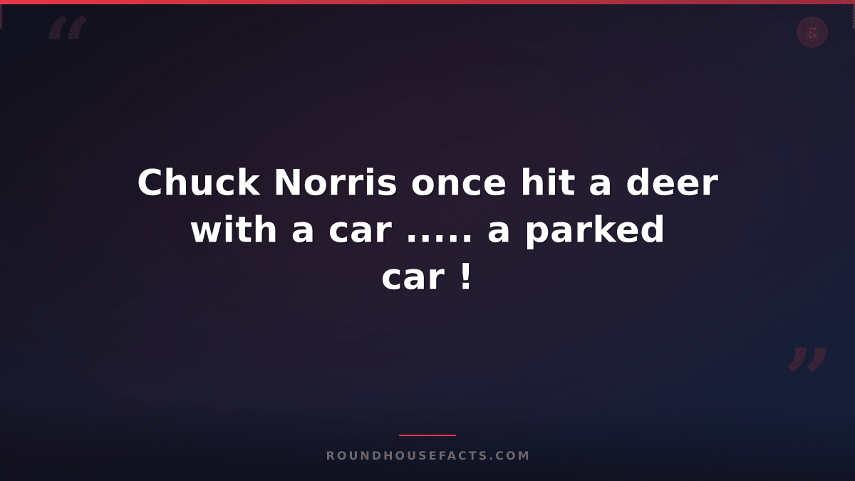 Chuck Norris Fact — Chuck Norris once hit a deer with a car ..... a parked car !