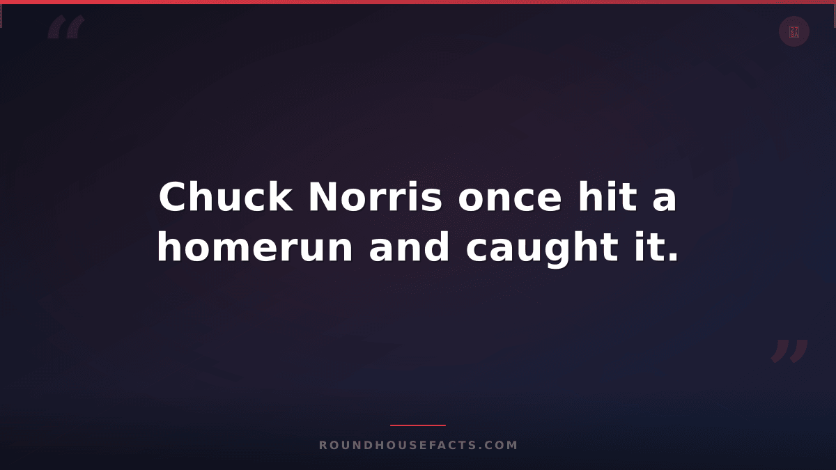 Chuck Norris Fact — Chuck Norris once hit a homerun and caught it.