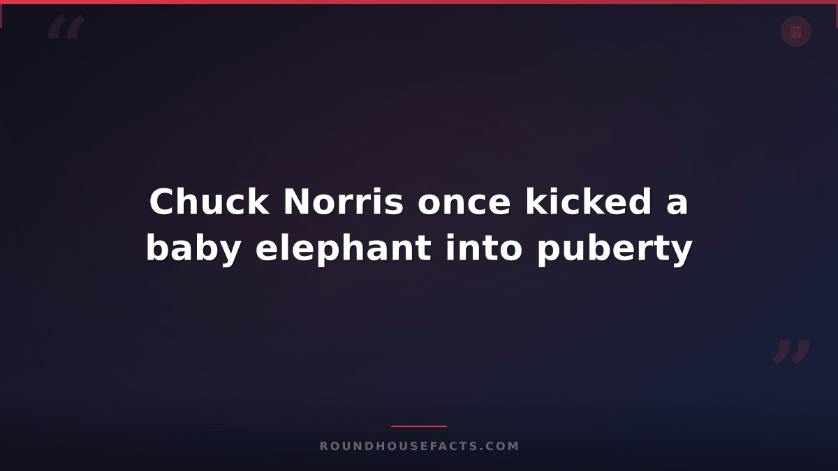 Chuck Norris Fact — Chuck Norris once kicked a baby elephant into puberty