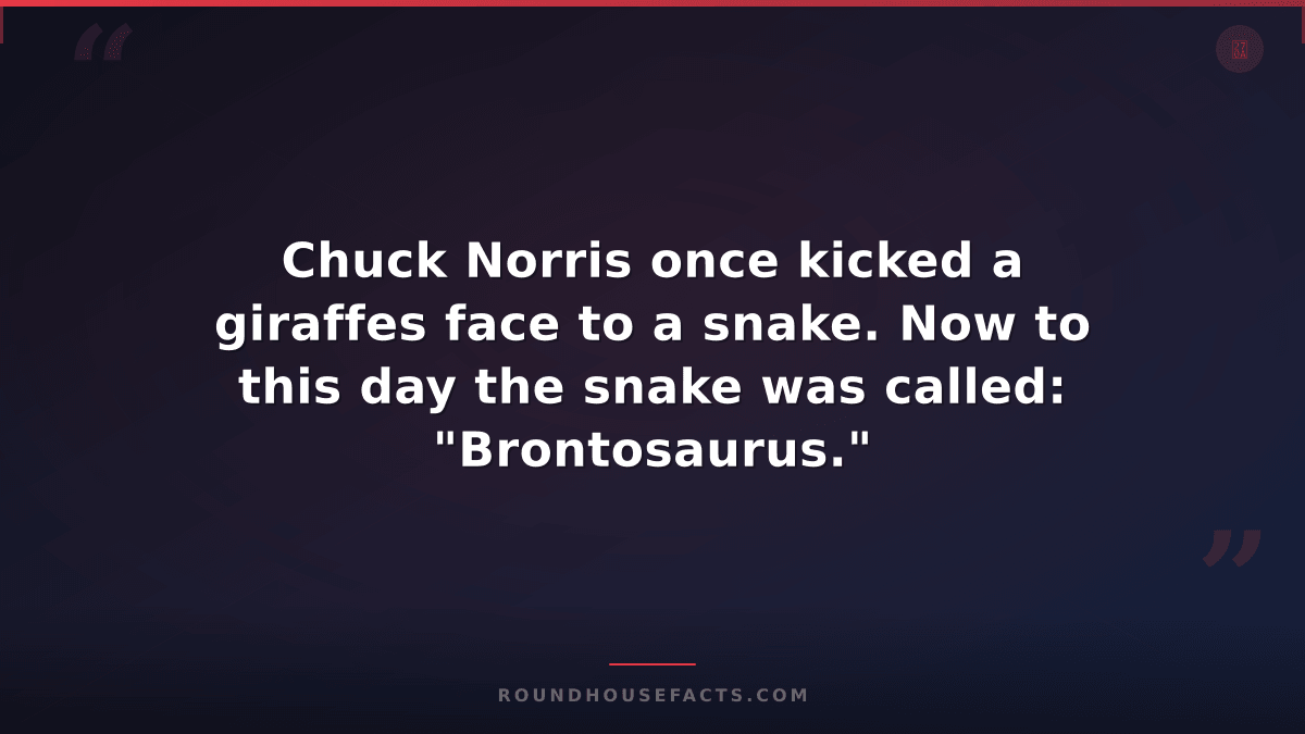 Chuck Norris Fact — Chuck Norris once kicked a giraffes face to a snake. Now to