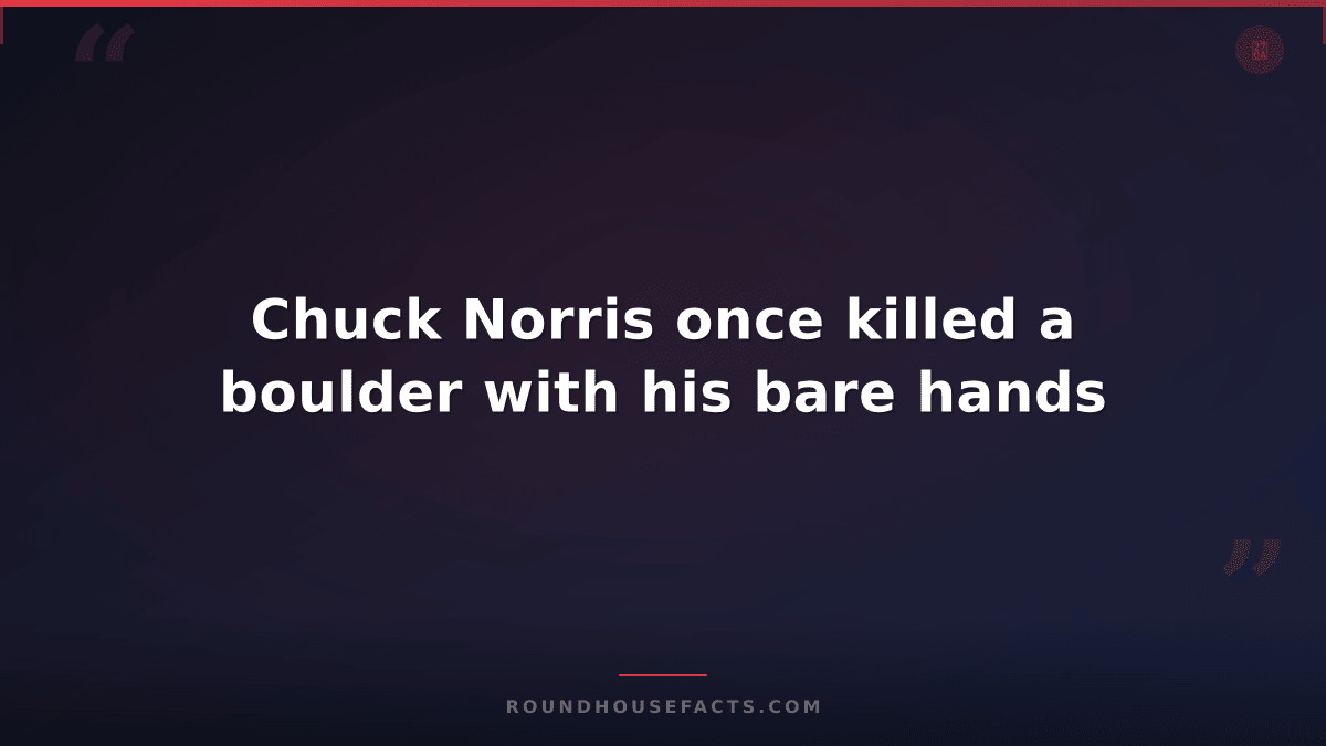 Chuck Norris Fact — Chuck Norris once killed a boulder with his bare hands