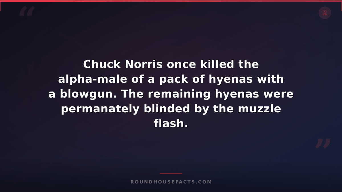 Chuck Norris Fact — Chuck Norris once killed the alpha-male of a pack of hyenas