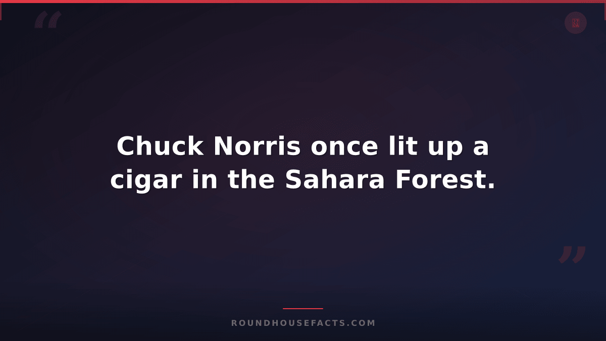 Chuck Norris Fact — Chuck Norris once lit up a cigar in the Sahara Forest.