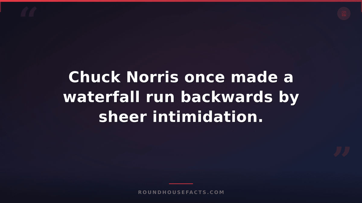 Chuck Norris Fact — Chuck Norris once made a waterfall run backwards by sheer in