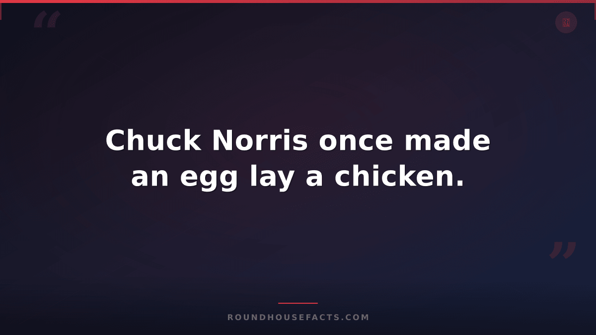 Chuck Norris Fact — Chuck Norris once made an egg lay a chicken.