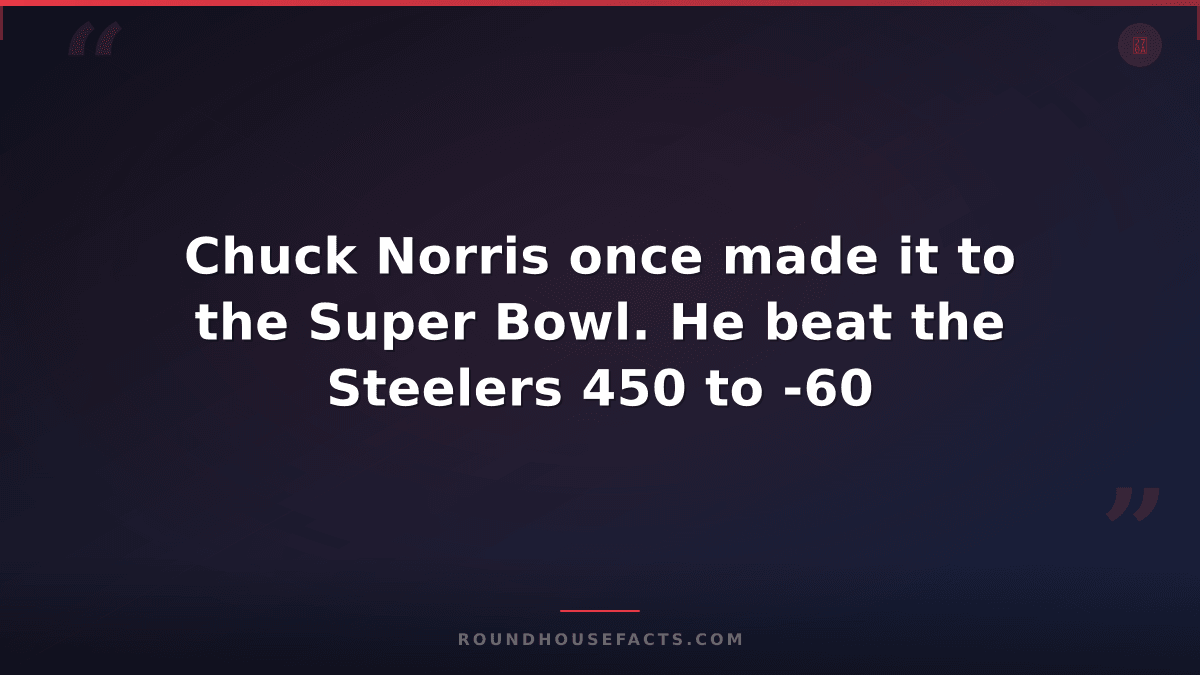 Chuck Norris Fact — Chuck Norris once made it to the Super Bowl. He beat the Ste