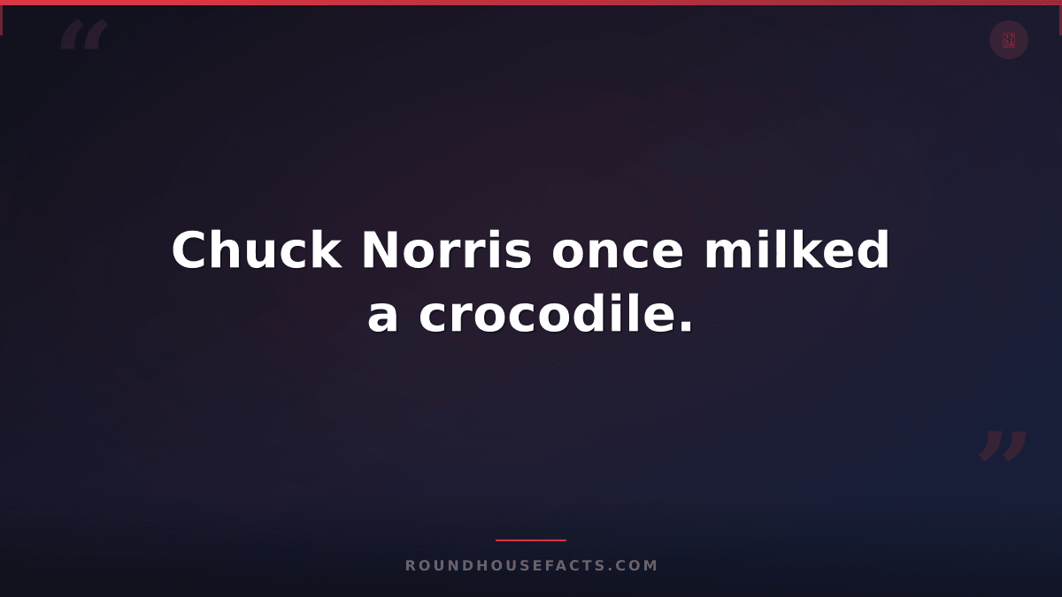 Chuck Norris Fact — Chuck Norris once milked a crocodile.