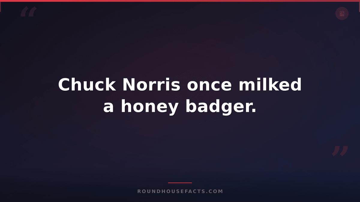 Chuck Norris Fact — Chuck Norris once milked a honey badger.