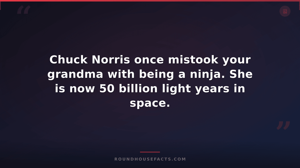 Chuck Norris Fact — Chuck Norris once mistook your grandma with being a ninja. S