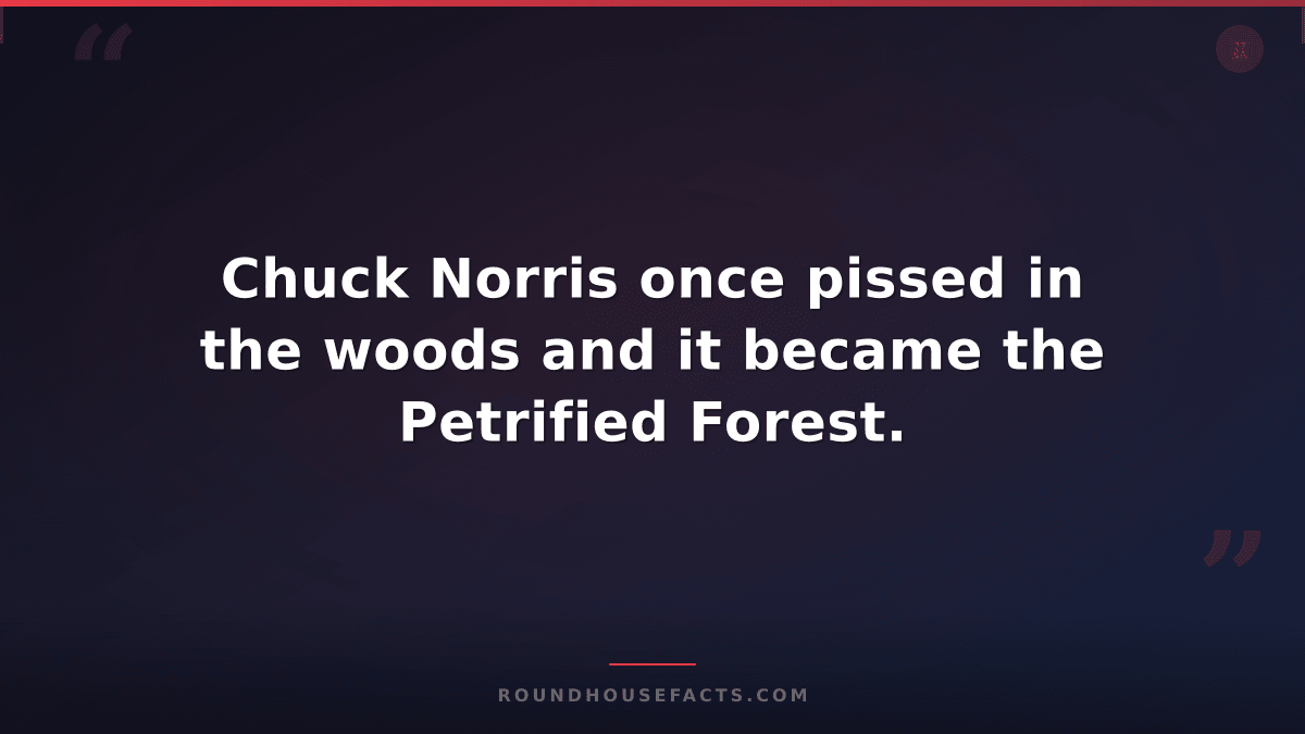 Chuck Norris Fact — Chuck Norris once pissed in the woods and it became the Petr