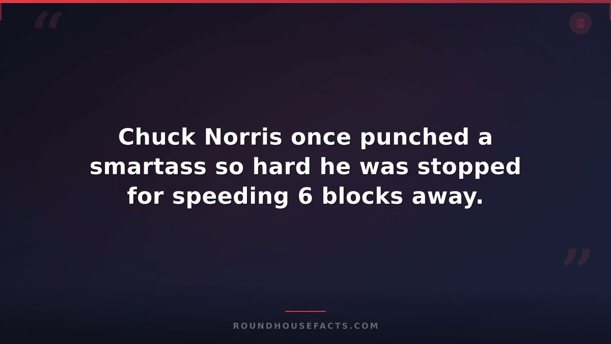 Chuck Norris Fact — Chuck Norris once punched a smartass so hard he was stopped