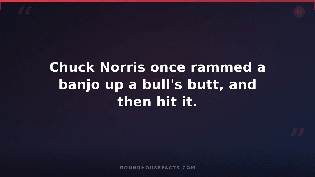 Chuck Norris Fact — Chuck Norris once rammed a banjo up a bull's butt, and then