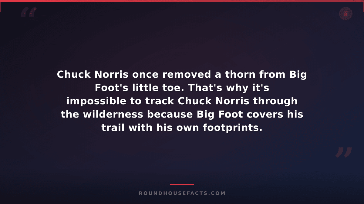 Chuck Norris Fact — Chuck Norris once removed a thorn from Big Foot's little toe