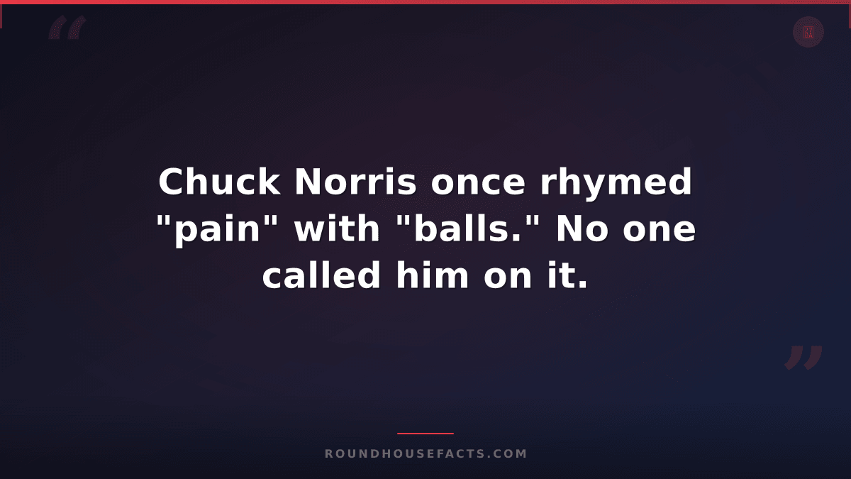 Chuck Norris Fact — Chuck Norris once rhymed "pain" with "balls." No one called
