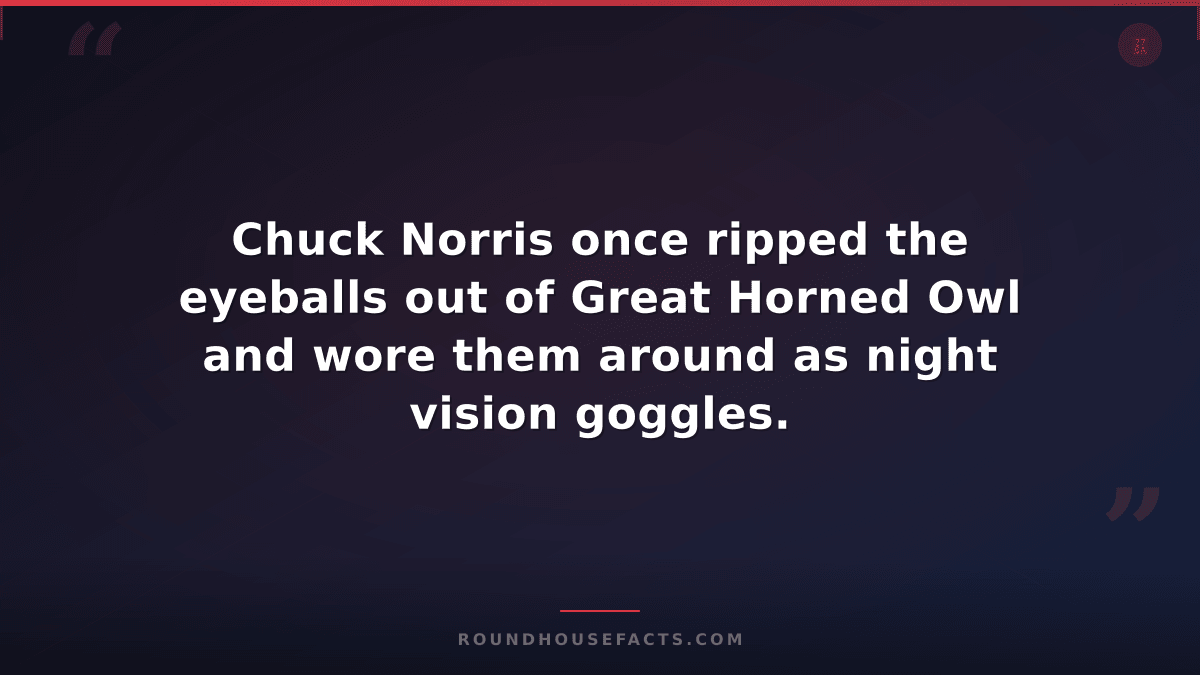 Chuck Norris Fact — Chuck Norris once ripped the eyeballs out of Great Horned Ow