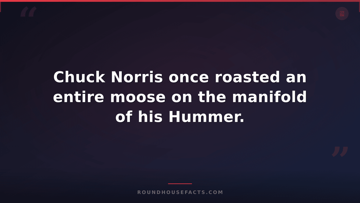 Chuck Norris Fact — Chuck Norris once roasted an entire moose on the manifold of