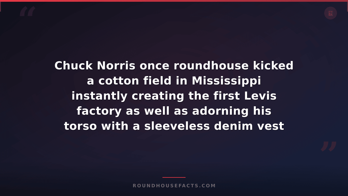 Chuck Norris Fact — Chuck Norris once roundhouse kicked a cotton field in Missis