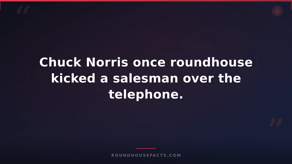Chuck Norris Fact — Chuck Norris once roundhouse kicked a salesman over the tele