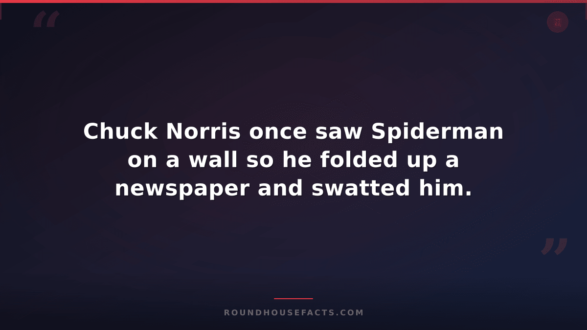 Chuck Norris Fact — Chuck Norris once saw Spiderman on a wall so he folded up a