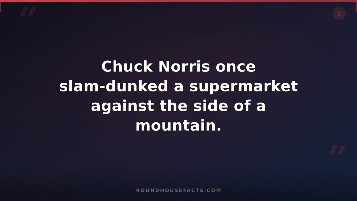 Chuck Norris Fact — Chuck Norris once slam-dunked a supermarket against the side