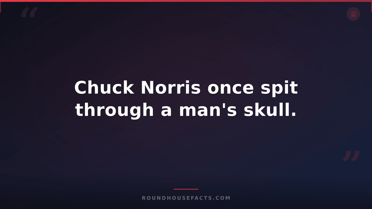 Chuck Norris Fact — Chuck Norris once spit through a man's skull.