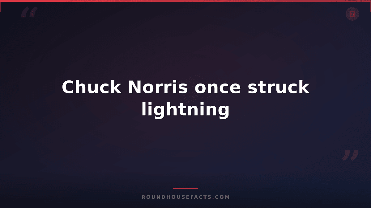 Chuck Norris Fact — Chuck Norris once struck lightning