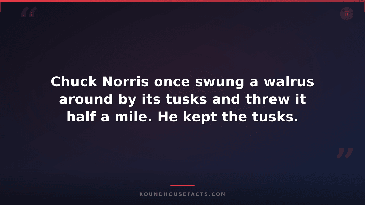 Chuck Norris Fact — Chuck Norris once swung a walrus around by its tusks and thr