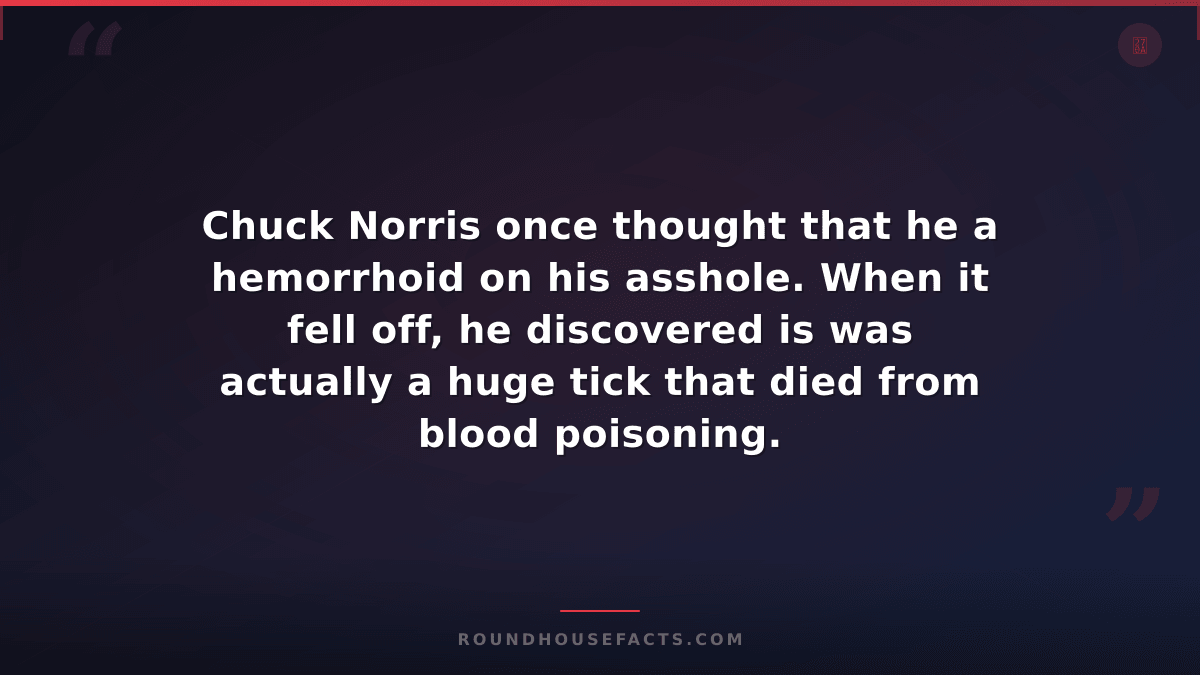 Chuck Norris Fact — Chuck Norris once thought that he a hemorrhoid on his asshol