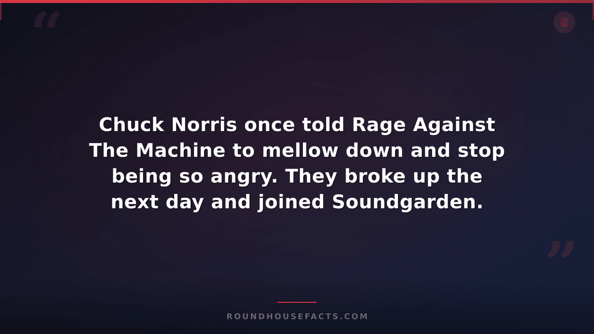 Chuck Norris Fact — Chuck Norris once told Rage Against The Machine to mellow do