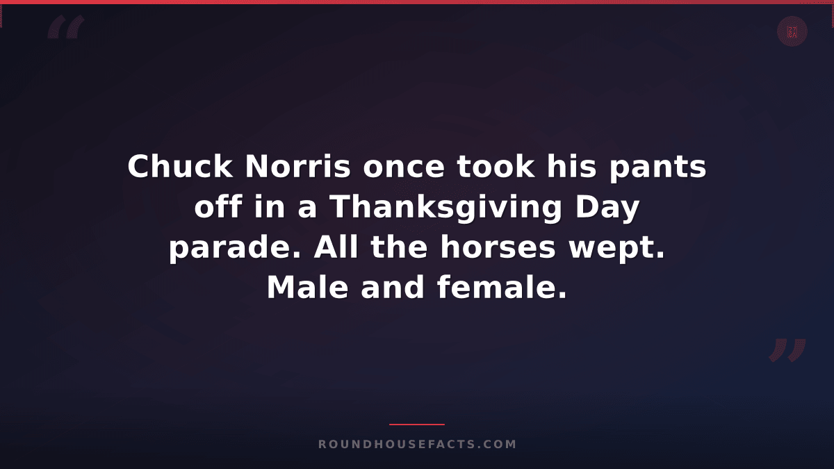 Chuck Norris Fact — Chuck Norris once took his pants off in a Thanksgiving Day p
