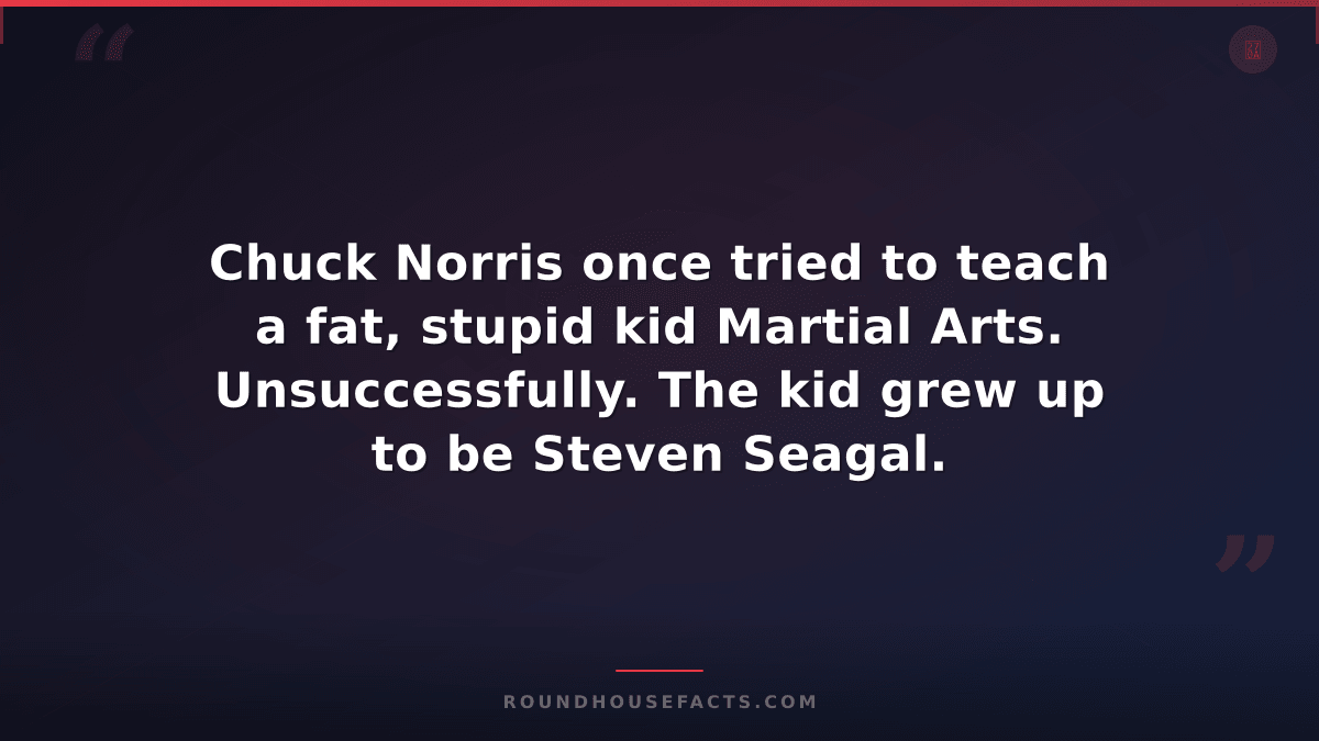 Chuck Norris Fact — Chuck Norris once tried to teach a fat, stupid kid Martial A