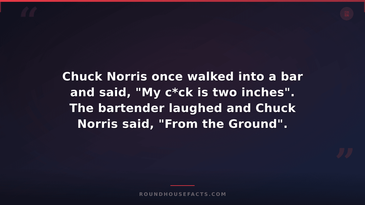 Chuck Norris Fact — Chuck Norris once walked into a bar and said, "My c*ck is tw